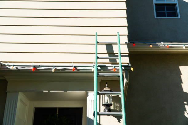 Best Storm Damage Siding Repair  in Coal City, WV