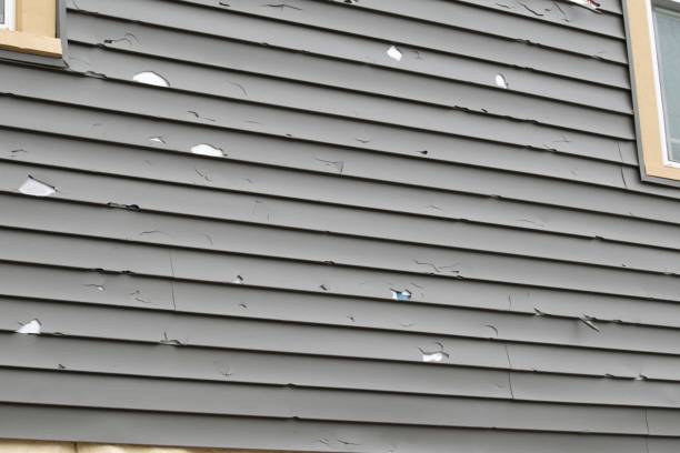 Best Engineered Wood Siding  in Coal City, WV