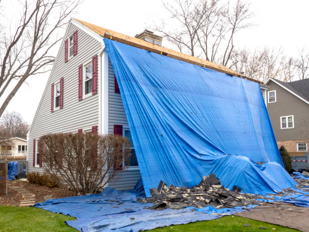 Best Stone Veneer Siding  in Coal City, WV