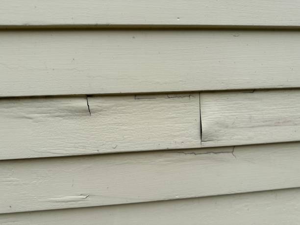 Best Siding for New Construction  in Coal City, WV